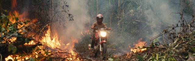 Amazonase põlisrahvas võitleb Kumu ekraanil oma kodu eest