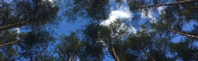 Elu teadmine – kasuta oma võimalust