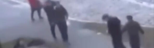 VIDEO: poolakad peksavad ukrainlasi NB! Nõrganärvilistele mittesoovitav