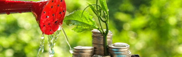 SEE LOITS AITAB sul raha lihtsalt ligi meelitada