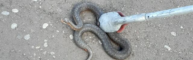 Lõuna-Eesti päästjatel oli töine nädalavahetus