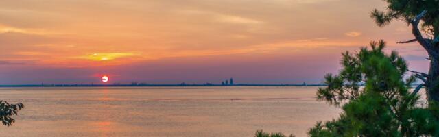 Nädalahoroskoop : 11 - 17. august