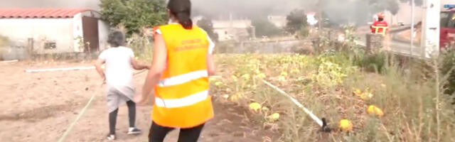 VIDEO: Portugali naine üritab päästa oma elamist tule eest