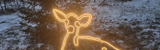 RMK külastuskeskused kutsuvad osa saama meeleolukast talvevalgusest