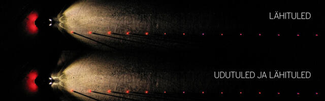 Sõiduõpetaja: pimedas on juhid nähtavuse suhtes liialt enesekindlad