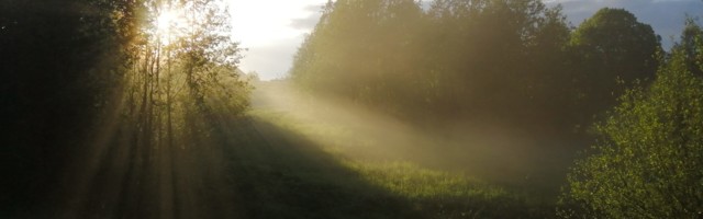 Hedvig Hanson. Teekond isa juurde