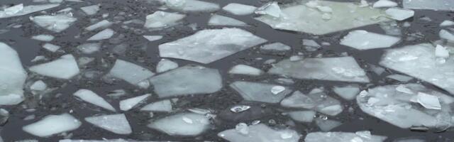 Reporter: 2021 aastal hukkus Eestis tulekahjudes 39 inimest, märg haud võttis 60 inimelu