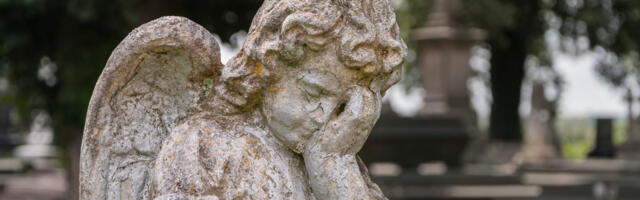 Kindlustusfirmade andmed kinnitavad: ebatavaliselt palju ameeriklasi on hakanud viimasel ajal surema