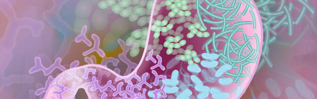 Taimekaitsevahendid ja muud levinud kemikaalid ründavad kõhubaktereid