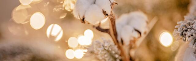 Tartus võetakse uus aasta vastu kontserdiga Vabaduse puiesteel