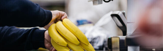 Aasta keskmisena tõusis tarbijahinnaindeks 2025. aastal 4,8 protsenti