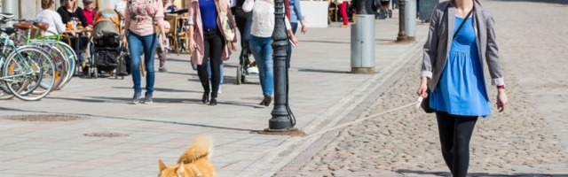 Tartu südalinna sõidutee muutub kuuks ajaks autovabaks