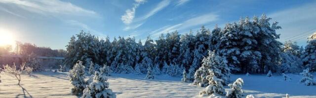 Ilm 24. veebruar – 27. veebruar