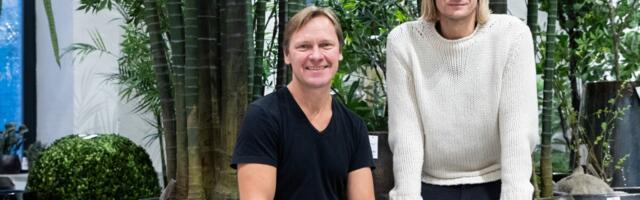 Shishi sisustuskaupade käive säilis, aga kasum kahanes kordades