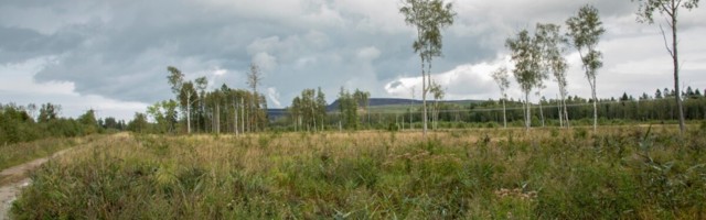 Hindrek Riikoja: paistab esimene valguskiir idavirulaste tuleviku kindlustamiseks