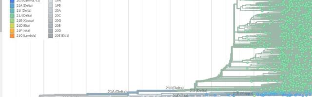 Millised koroonatüved maailmas levivad? Hollandlased aitavad selgust luua