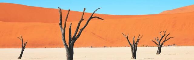 Immunoloog: Saksamaa Covid-19 süstikampaania järgne suremus on võrreldav Ukraina sõjaga