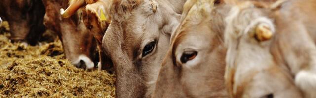 Baltic Agro ja Farm Vitamins alustavad koostööd