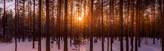 Armastus on enda tagasiliitmine tervikusse