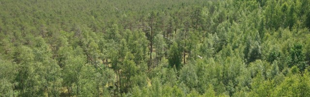 Eesti looduskeskkonna tulevikueesmärgid said taaskäivituse