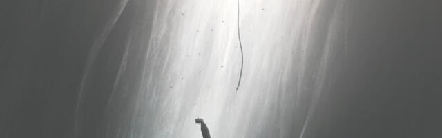 Tõe rääkimise hinnast valedele rajatud ühiskonnas