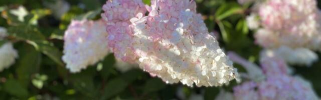 AHTO ILMAJUTUD | Ilm läheb taas soojemaks