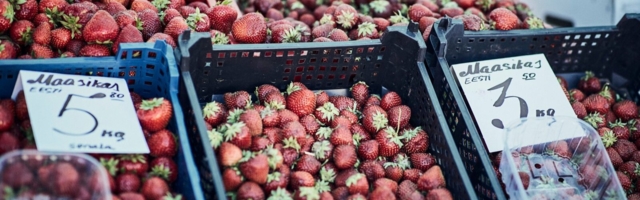 Oudekki Loone: nii kibedaid maasikaid pole üldse tarvis