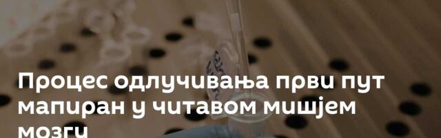 Процес одлучивања први пут мапиран у читавом мишјем мозгу