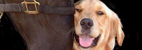 Meil kõigil on mingi hulk inimesi…