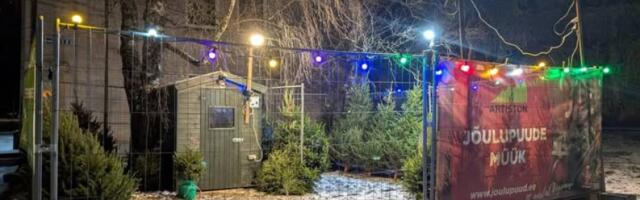 Kehra ärimaja kõrval avatakse taas jõulupuude müügiplats
