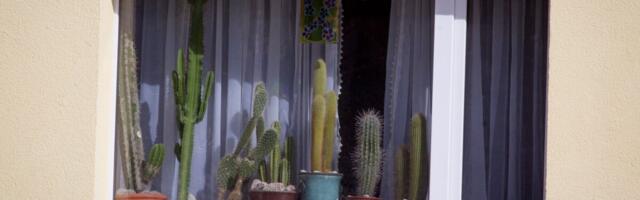 Eluase kallines eelmisel aastal üle 5%