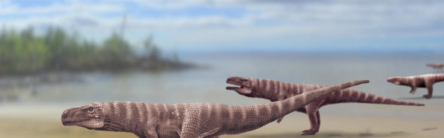 Krokodillide eellased käisid kahel jalal