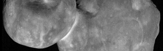 Gravitatsioon loob Neptuuni taga lumememmi meenutavaid objekte