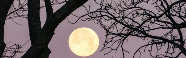 2. aprilli täiskuu Kaaludes: miks see toob suhetes esile tõe ja tasakaalu