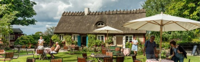 Kas Rootsi, koroonapandeemias vastuvoolu ujunud “inetu pardipoeg”, on jõudnud karjaimmuunsuse “püha graalini”?