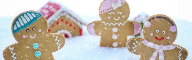 Otepää Vallavalitsuse lahtiolekuajad pühade eel