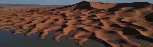 В пустыне Сахара прошел ливень