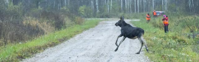 Kohtulahend raputab jahipiirkondade põlistamist