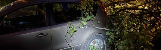 Torm tegi Harju maakonnas kahjustusi: päästjatel 42 väljakutset ööpäevaga