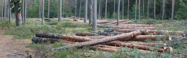 Raadamisvabade toodete määruse rakendamine lükkub edasi