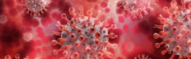 Koroonaviiruse antikehad tekivad vahel tavalisest külmetusest