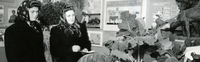 OLID AJAD! Kunstisaalis näidati vorste ja kapsaid. Hipodroomil ammusid lehmad ja röhkisid sead