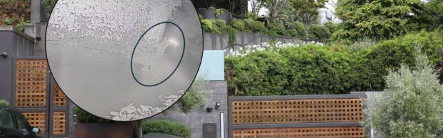 OpenAI juhi Sam Altmani kodu rünnanud isikule esitati süüdistus tapmiskatses