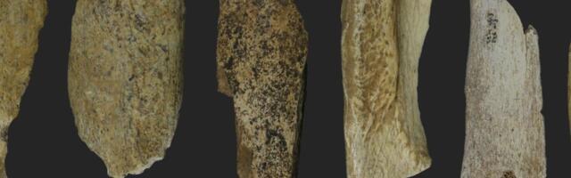 Nova metoda otkrila nepoznate strategije preživljavanja iz doba paleolita