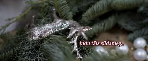 EESTI KÜSKi jõulutervitus 2020 Kodanikuühiskonna Sihtkapital