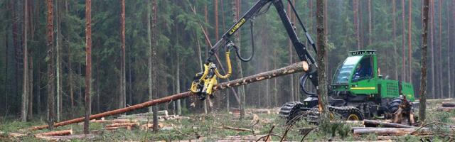 Metsakaitsjad seljatasid kohtus keskkonnaameti