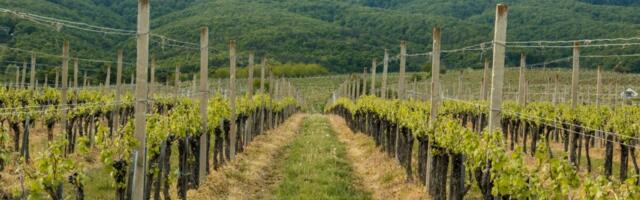 EuroChem tugevdab Gruusiaas turupositsiooni