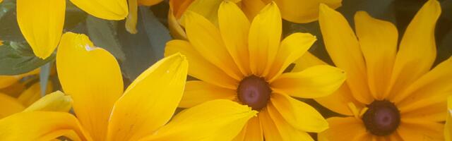 Päevahoroskoop : neljapäev, 7. august