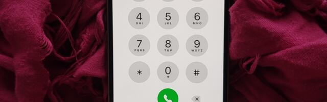 Päästjatele andsid tööd puud ja liiklusõnnetus