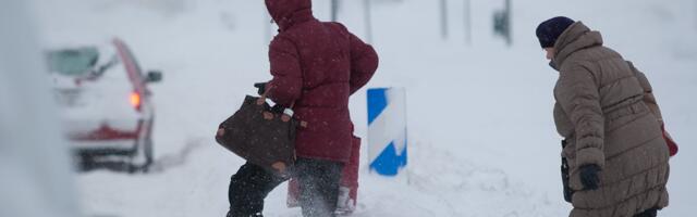 Monika ja Scarlett – kaks meeldejäävat fuuriat